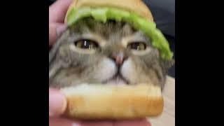 YUNG POPPY - If You Want A Burger - sped up