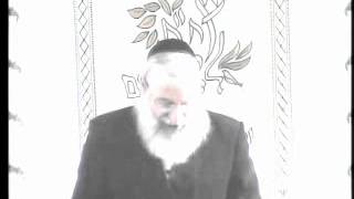 הרב אשר וייס - מקדש במלוה