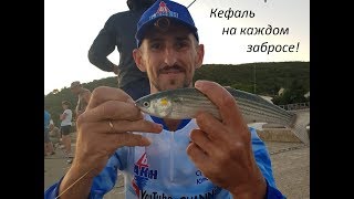 Ловля кефали в черном море спиннингом с берега. сентябрь 2019г