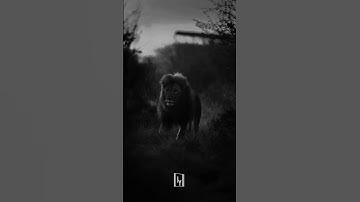 Never Repeat Your Failures ~ "Shaquille O