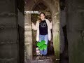 🍀 #irelandtiktok #pickinntripin  #irelandyoutubers