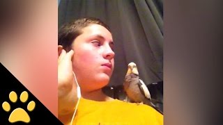 Bird And Boy Have A Weird Relationship