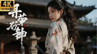 2026必看功夫电影！十个黑衣刺客高手从天而降，没想到被柔弱皇帝一人击杀！⚔️ #KungFu #少林 #功夫 #武俠 #成毅 #张予曦 #chinesedrama screenshot 1