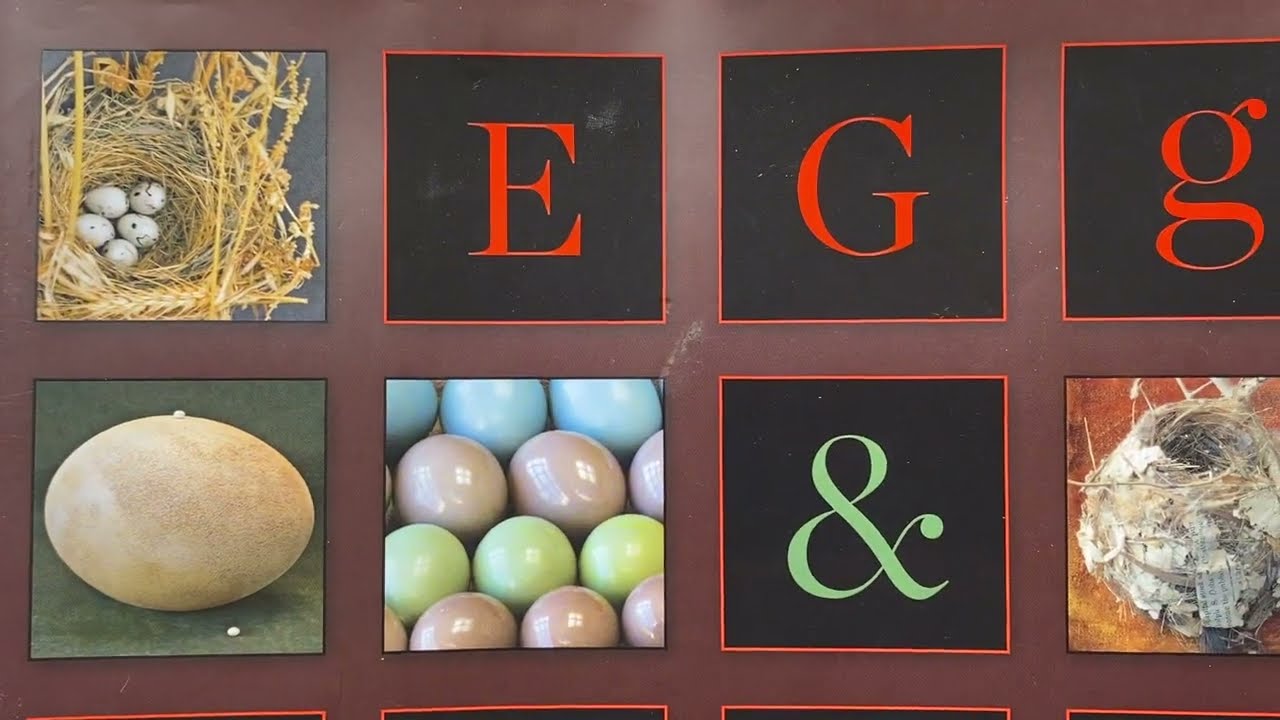 Egg & Nest, by Rosamond Purcell, Linnea Hall, and René Corado