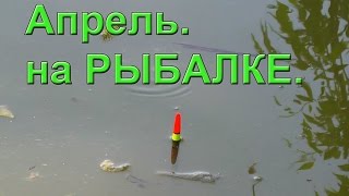 Апрель. на Рыбалке. Ловил поплавочной удочкой. Fishing. Ловля на поплавок(Апрель. на Рыбалке. Ловил поплавочной удочкой. Fishing .….((Мой канал- это (в основном) канал ЛЮБИТЕЛЯ-рыболова..., 2016-04-09T05:58:58.000Z)