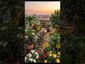 🌹This rooftop garden is filled with white, red, and yellow roses, sunflowers, beli 🌹🌻 #rooftopgarden