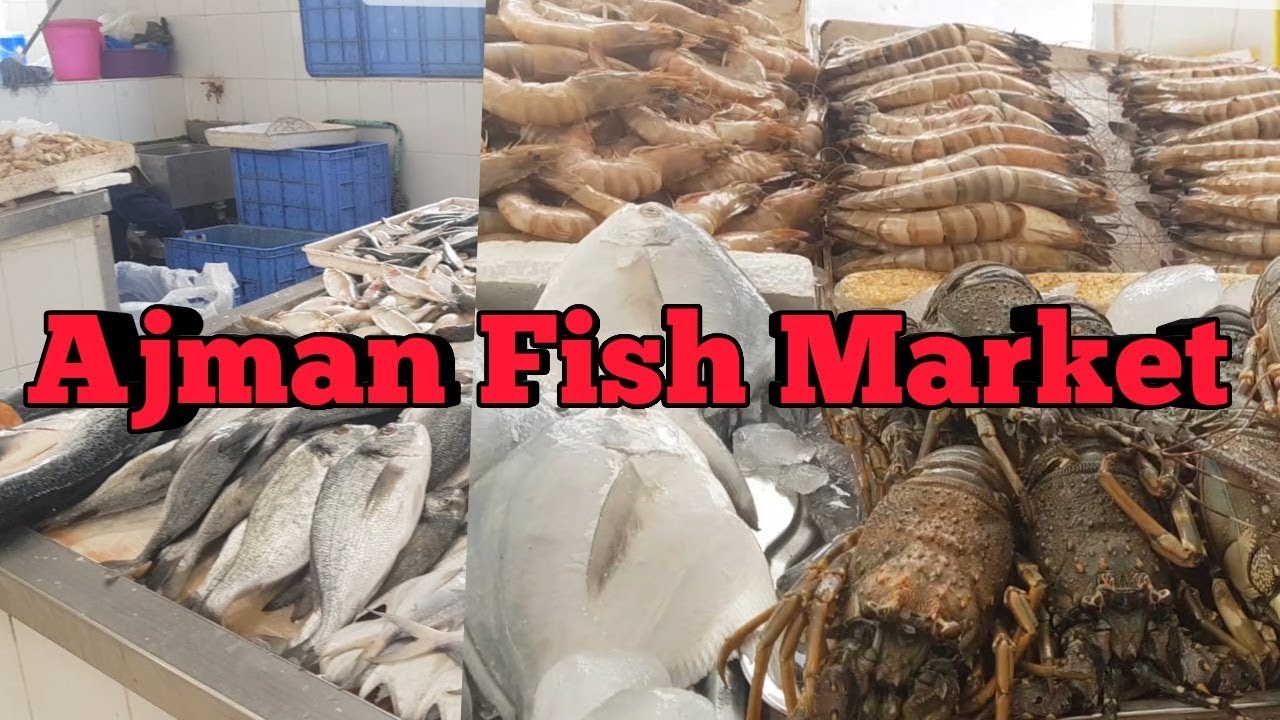 Ajman Fish Market Vlog Ajman Emirate In UAE Golden Life