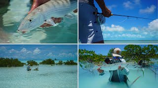 Fly Fishing the Bahamas | DIY Flats Bonefish and Barracuda