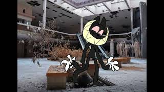 Cartoon cat animation test
