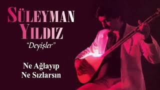 Süleyman Yıldız - Ne Ağlayıp Ne Sızlarsın Resimi