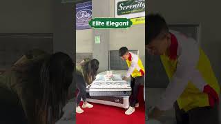Spill spring bed elite yang low budget ✨ #furniture #mebel #elitespringbed #kasur #kasurmurah