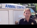 Dead Weak, animals were found in Armada (The Macomb Daily/David Dalton)