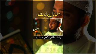 #ramzanmubarak #ramzanstatus#ramzanstatus #ramzanspecial#ramzan2025 #shortsvideo#viralshorts#shorts