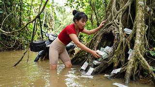 **Shocking Discovery! Girl Finds Treasure Money in a Giant Hollow Tree Near the Stream**