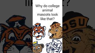 Why do college animal mascots look like that? #cfb