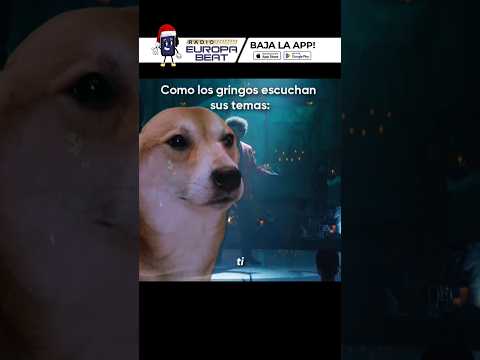 🎤Así es como