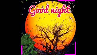 good night animation 😴