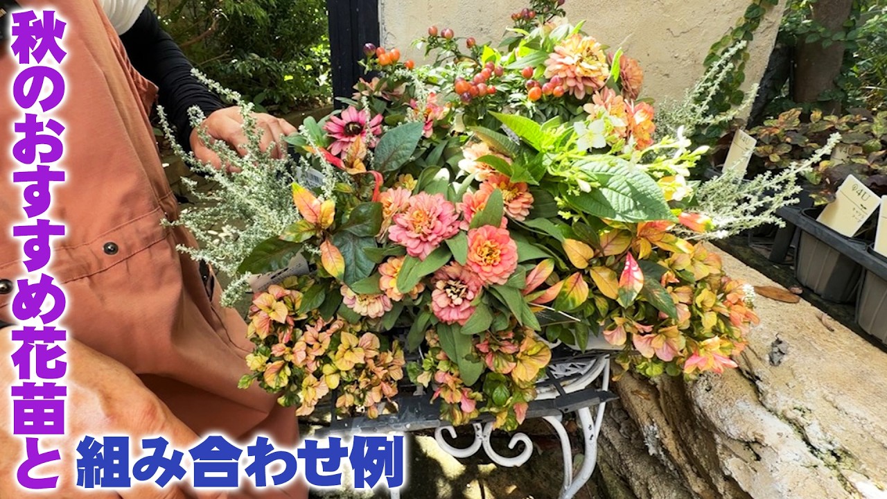 花摘みの連作 YouTube
