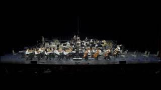 B. Martin: Moonlight Waltz | FSYO Prelude Orchestra