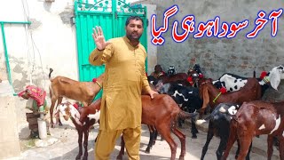 Mashallah Aakhir Soda Ho Gaya Zafar Bakra TV