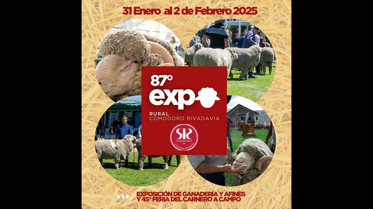 RESUMEN 87 EXPOSICIÓN RURAL 2025. - YouTube