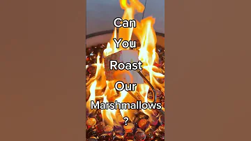 Can you roast our marshmallows? 🔥 #marshmallows #marshmallowroasting #campfire #fairybread