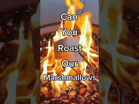 Can You Roast Our Marshmallows Marshmallows Marshmallowroasting Campfire Fairybread