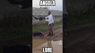 Angola Lore 🇦🇴 😂 @InternetThings