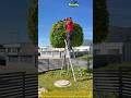 This Hedge Trimmer Creates a Perfect Tree Shape in Minutes! 🌳✂️