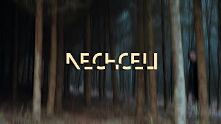 Seky - Nechceli |Official Lyric Video|