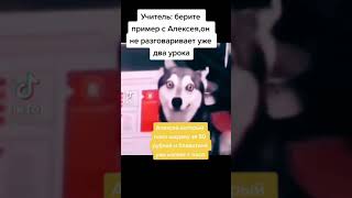 ТИКТОК ТРЕНД 2021 | ПРИКОЛЫ С ЖИВОТНЫМИ, ПРИКОЛЫ ИЗ ТИКТОК | #SHORTS #tiktok2021 #tiktok