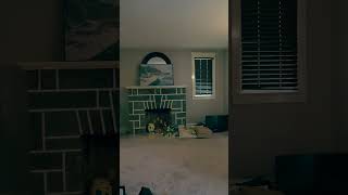 Sherwin-Williams “Anonymous” in Action | Moody, Modern & Timeless