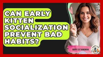 Can Early Kitten Socialization Prevent Bad Habits? - Happy Cat Handbook