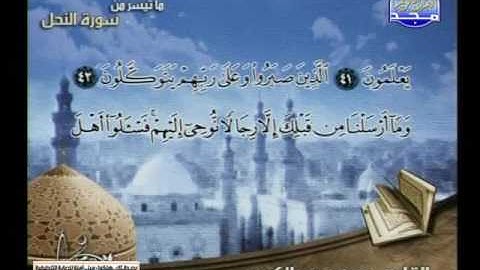 محمد عبد الكريم ــــــ ما تيسر من سورة النحل