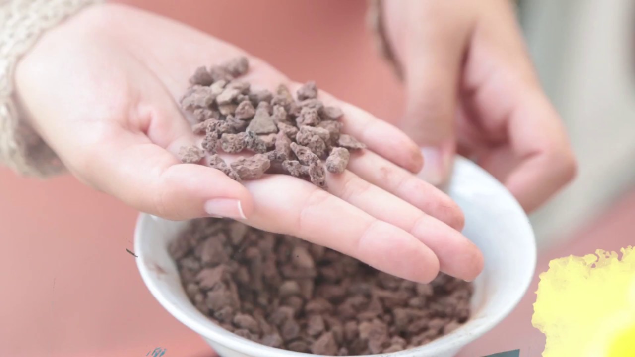 Bahçe Tasarımı ve Çeşitleri