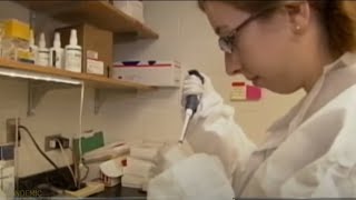 What Pfizer's Vaccine Announcement Means For You | NBC Chicago