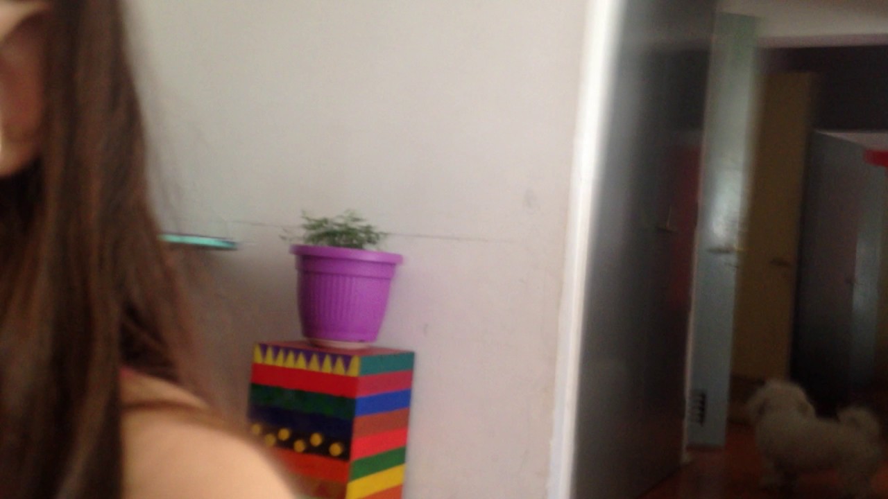 Dulcita la vaca - YouTube