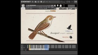 Songbird Virtuoso KONTAKT Songbird Virtuoso KONTAKT