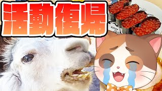 【復帰配信】北海道旅行に行ってリフレッシュしてきたのでいろいろ話したい！