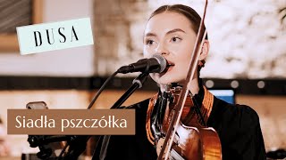 Siadła pszczółka - 