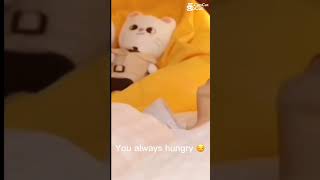 IM HYUNGRY | this is lowky me