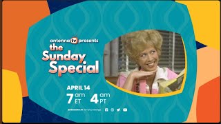 Antenna TV Presents The Sunday Special &quot;Alice&quot; April 14, 2024 7A ET | 4A PT