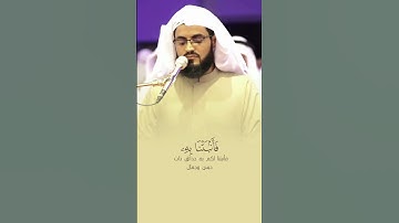 أَمَّنْ خَلَقَ ٱلسَّمَٰوَٰتِ وَٱلْأَرْضَ - القارئ رعد الكردي