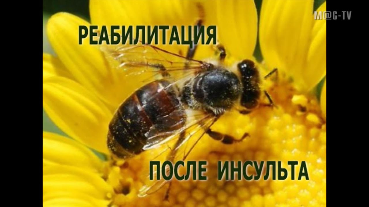 Реабилитация после инсульта - YouTube