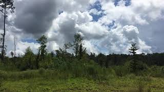 165 acres Hinds County