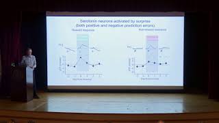 Zachary Mainen, Fundação Champalimaud: Serotonin and the regulation of neural inference and learning