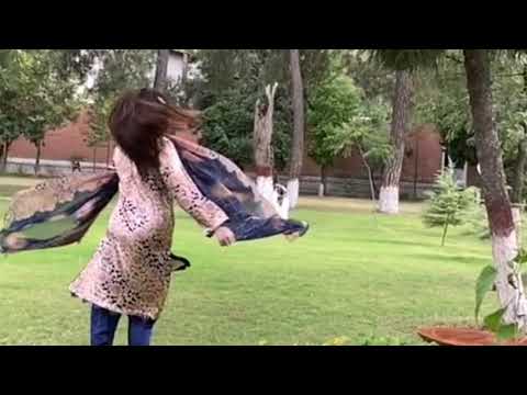 Gul Panra New Dance 2021 Gul Panra New Video 