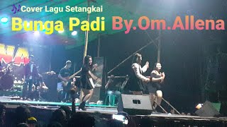 SETANGKAI BUNGA PADI - COVER OM.ALLENA