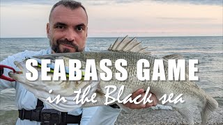 Ловля крупного сибаса/лаврака в Чёрном море на спиннинг / Seabass fishing in the Black sea