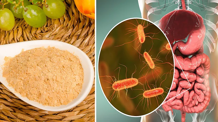 6 Proven Medicinal Benefits of Brewers Yeast